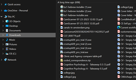 Downloads folder with 698 mixed files